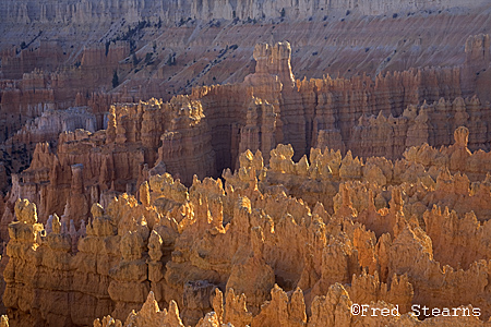 Bryce Canyon NP Sunset Point
