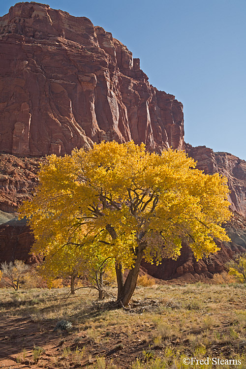 Capitol Reef National Park Sunrise