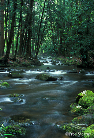 Great Smoky Mountains National Park