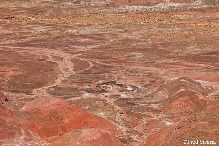 Petrified Forest National Park Painted Desert