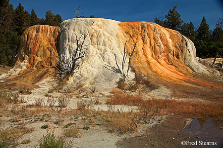 Yellowstone National Park