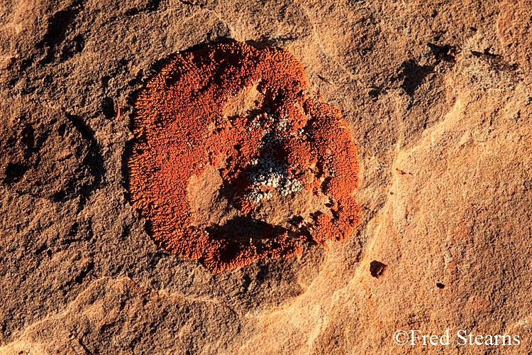 Monument Valley Hunts Mesa Sunset